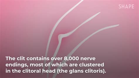 Nice clit. As the award-winning mini-documentary “Le Clitoris” explains, there are two 4-inch roots that reach down from the gland toward the vagina. Le clitoris – Animated Documentary (2016) from Lori ... 