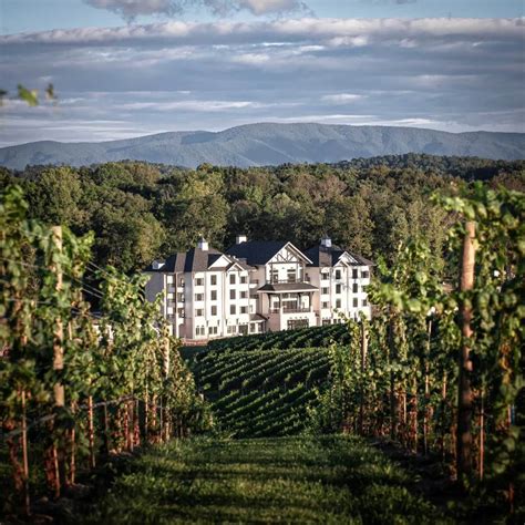 Nicewonder. Jun 29, 2023 · BRISTOL, Va. (WJHL) – Nicewonder Farm & Vineyards offers luxury and unique stays, on-site fine dining and a slate of activities at your fingertips. The view of the property is breathtakin… 
