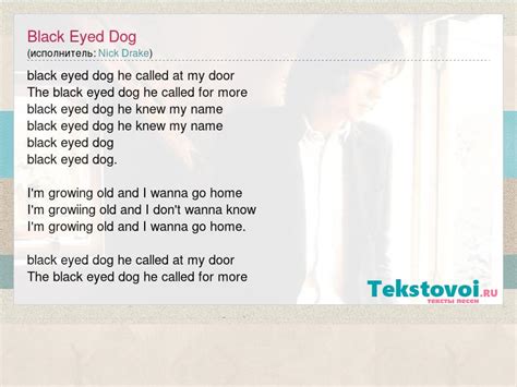 Nick Drake - Black Eyed Dog lyrics + Russian translation