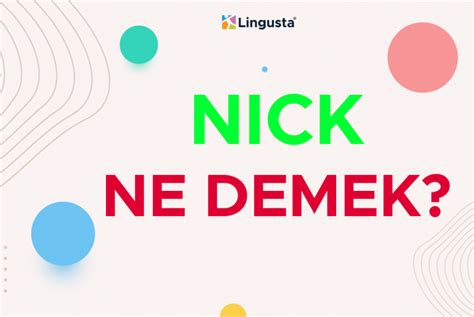 Nick Ne Demek? Nick İngilizce bir kelimedir.