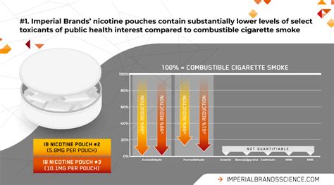 Nicotine Pouches: A Growing Business Opportunity for Manufacturers