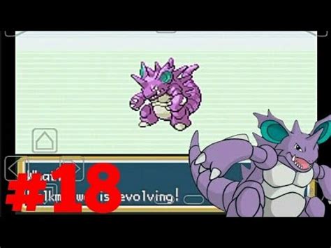 For Fire Red? I think the generally agreed upon 'best moves' for Nidoking were Ice Beam, Earthquake and Megahorn, with the last move being fairly negotiable .... 