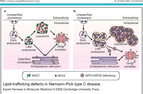 Niemann-Pick Disease Type C -- GeneReviews® Semantic …