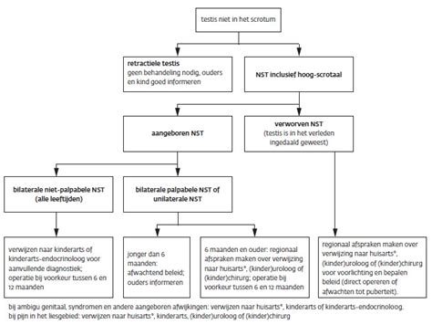 Niet-scrotale testes; beleid voor de eerste lijn NTvG