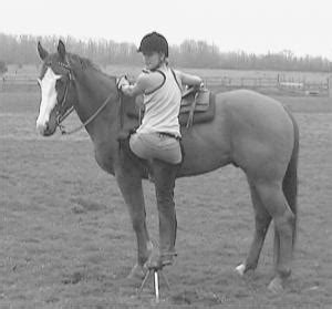 Nifty Fold-Up Stool For Mounting Horses - FARM SHOW