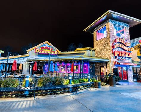 Night clubs in pigeon forge tn. TopJump is Pigeon Forge & Sevier County's first Indoor Trampoline Park Attraction featuring a ninja course, arcade, climbing, & candy store! 