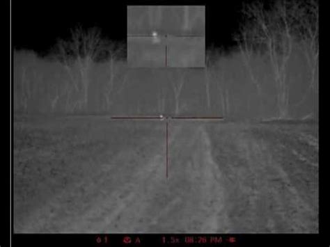Night coyote eliminators. Have questions? Call us at 815-716-0707. Sign in or Create an Account. Search 