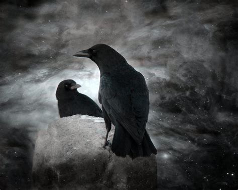 Night crow. Night Crows Weapons. Explore the extensive Night Crows Weapon Database for a wide range of items, from weapons to consumables. Discover item properties, prices, and sources, essential for players aiming to enhance their Night Crows experience. 