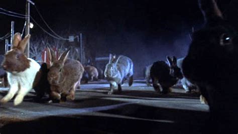 Night of the lepus. Things To Know About Night of the lepus. 