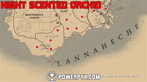 RDR2 - All 10 Night Scented Exotic Orchid Locations in Red Dead Redemption 2.Only 5 Night Scented Orchids are required for the "Duchesses and Other Animals" ...