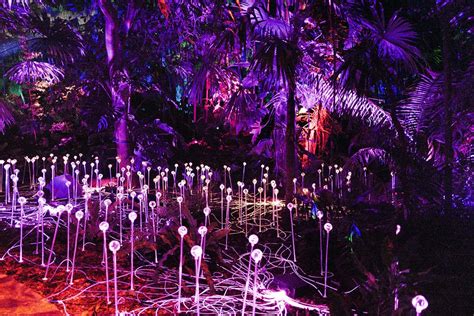 NightGarden’s 5th year at Fairchild Tropical Botanic Garden features more lights, new installations