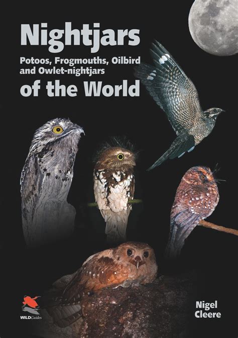 Nightjars a guide to the nightjars frogmouths potoos oilbird and owlet nightjars of the world. - Scarne s guide to modern poker.