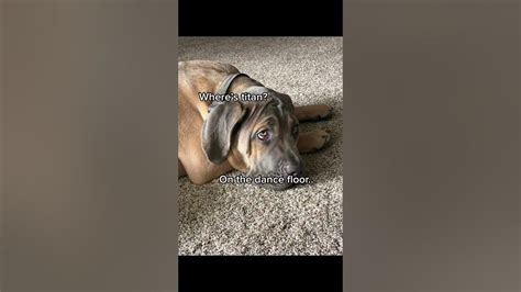 Nikkiwikki01 Onlyfans Leaked (SEX) 😈 204 Photos