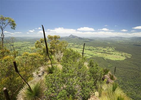 Nimbin - National Parks - Lismore & Nimbin Tourism