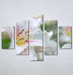 💦 XXX Nina130 Leaks