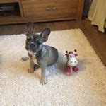 🍑 (SEX) Ninahammond Onlyfans Leak