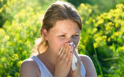 Nip it in the bud: How to ward off spring allergies in San Diego
