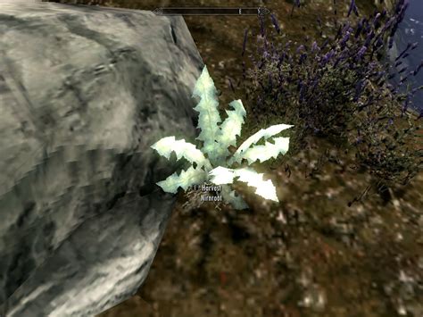 Nirnroot skyrim id. A special plant called crimson nirnroot grows throughout the cave system, and picking one up begins the quest "A Return to Your Roots." ... The Elder Scrolls 5: Skyrim is available now on PC, PS3 ... 