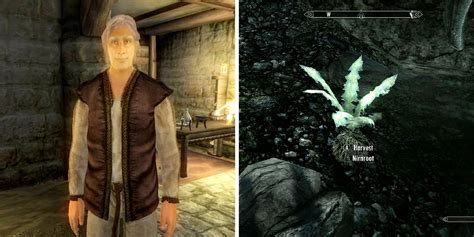 Scathecraw. Scathecraw. Scathecraw is an ingredient harvested from the plant of the same name on Solstheim. Guaranteed samples can be found in the following locations: 1 in Ienth Farm ( Raven Rock ), on a table downstairs. 1 in Raven Rock Mine, on a shelf next to an alchemy table. 1 in Shaman's Hut ( Skaal Village ), in a bucket.. Nirnroot skyrim id