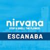 Nirvana center - escanaba reviews. Show more. Leafly member since 2023. Followers: 55. 675 E State Route 89a, Cottonwood, AZ. Call 9282375503. Visit website. ATM Cash accepted Storefront ADA accessible Medical Recreational. 