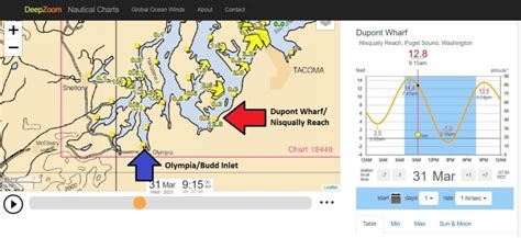 Nisqually River Tide Chart