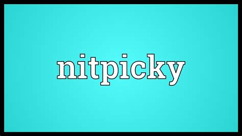 Nitpicky Definition. The meaning of Nitpicky - Word Panda