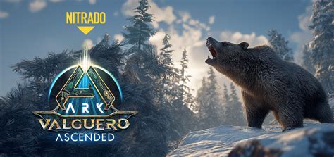 Nitrado ark ascended command. Dec 9, 2023 · Note: For detailed informat...