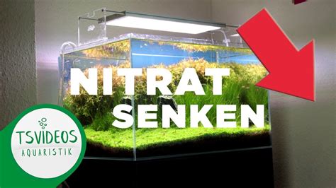 Nitrat aquarium senken