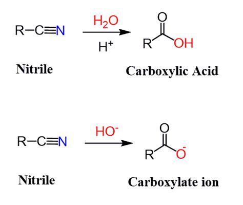 Nitrile to carboxylic acid. The resulting nitrile can be converted to a carboxylic acid through hydrolysis. Exercises. 1) Show how the following molecules can be used to synthesize benzoic acid: a) b) c) 2) Please give the structure of the bromide required to make the following using the carboxylation of a Grignard reagent: a) b) c) 