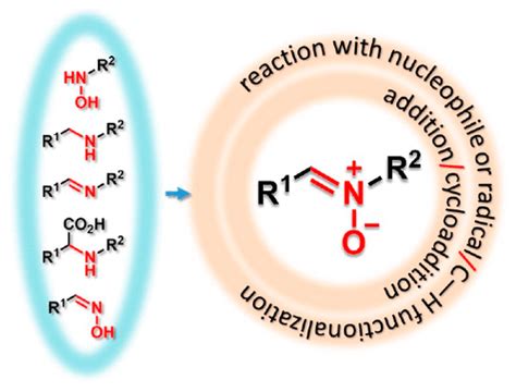 Nitrones Nitronates And Nitroxides