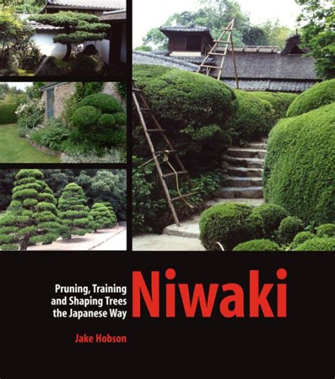 Download Niwaki Pruning Training And Shaping Trees The Japanese Way By Jake Hobson