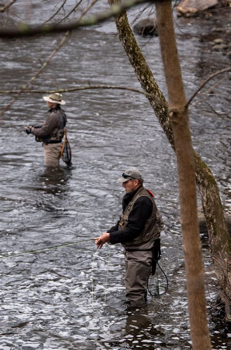 Current fly fishing reports and conditions for South