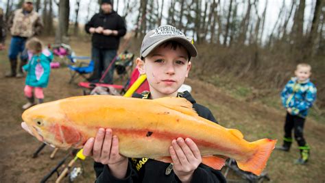 The state stocks trout in waters around New Jersey, but these 11 get more fish than the rest. ... But when it comes to trout stocking the feeder canal may as well be the main canal: The state is .... 