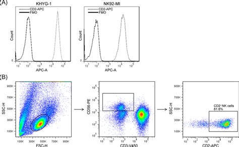 Nk@Yfit Leaks [SEX VIDEO] 237 Pics