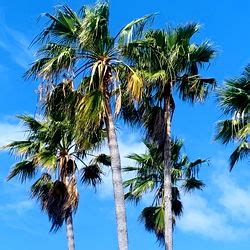 Nlawsun Leaked [PPV] 💦