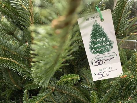 No Christmas tree shortage, but with supply tight, shop early
