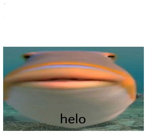 No Henlo