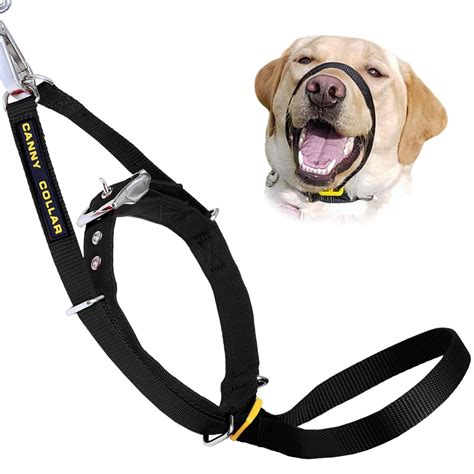 No Pull Dog Collar Dog Training Collar with Comfort Tips and