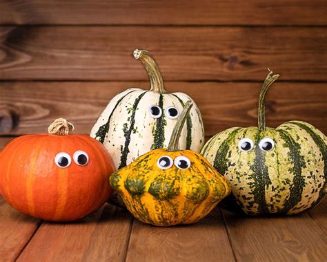 No carve pumpkin ideas: 10 simple projects to try Gardeningetc