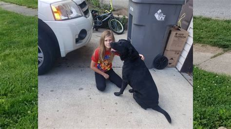 No charges after man shoots Indianapolis child's service dog