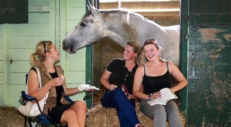 No escaping Brexit - even at the Horse Show - Independent.ie