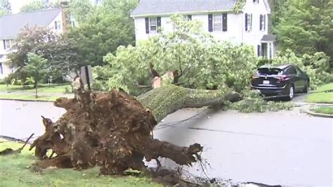 No injuries reported after large tree crashes down, closes road in Newton