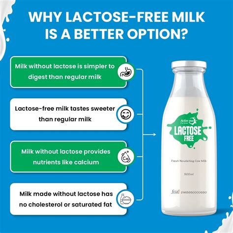 No more moo the dairy free and lactose free guide to living well with lactose intolerance. - Manual for 03 honda rancher at.