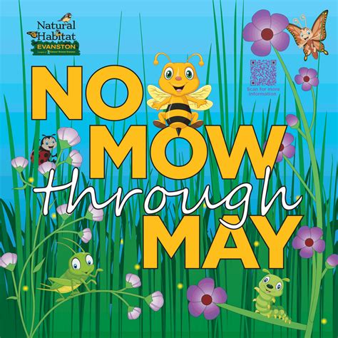 No mow may. Learn how to participate in No Mow May, a movement that encourages homeowners to let their lawns grow wild for a month to support bees and other … 
