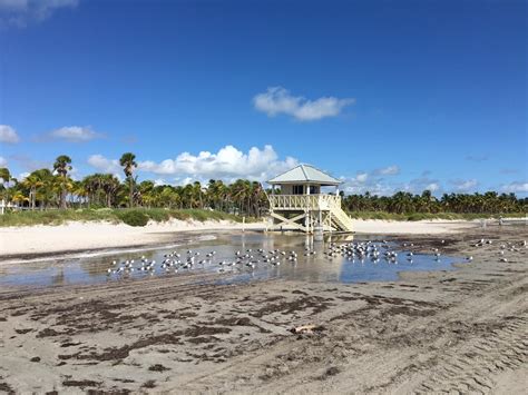 No swim advisory issued for Crandon Park North near Key Biscayne