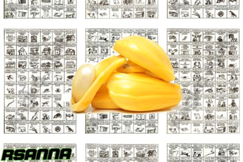 No togel buah nangka 4d. Domino yang gacor hari.