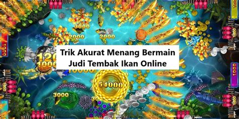 No togel yang sudah keluar terbaru. Trik jitu main tembak ikan.
