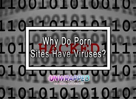 No viruses porn. Things To Know About No viruses porn. 