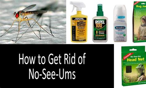 No-See-Ums: TOP-9 Repellents, Traps, Zappers