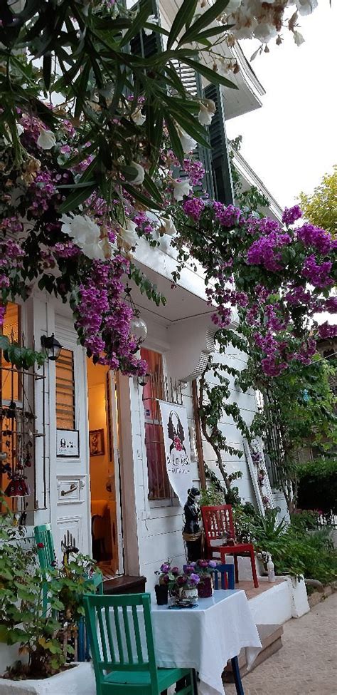 No16 Ada Tripadvisor.